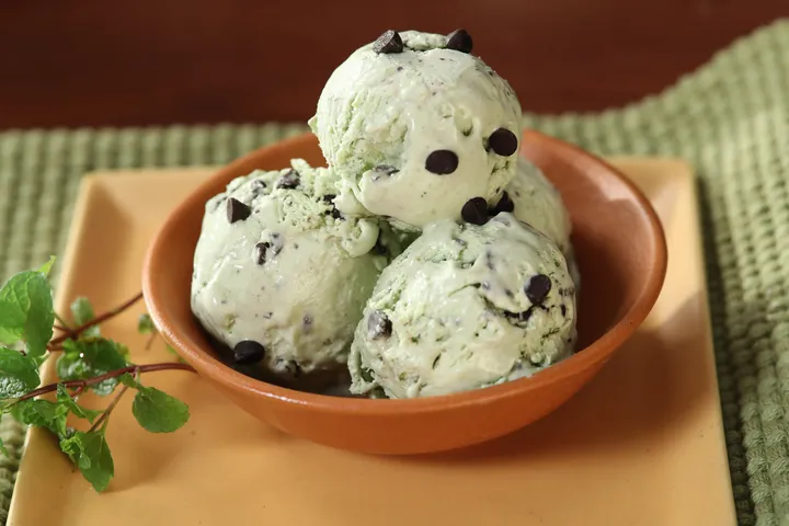 Chocolate Chip Mint Ice Cream 1 - YT