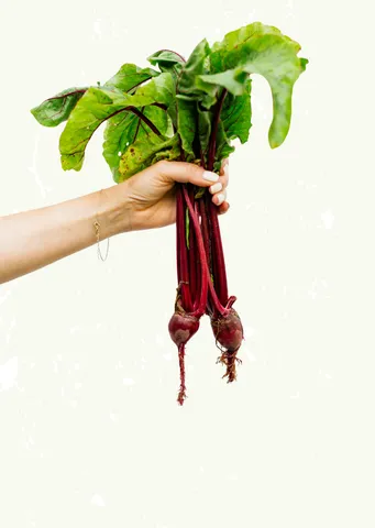 Purple Green Illustration Food Pun Valentine's Day Card