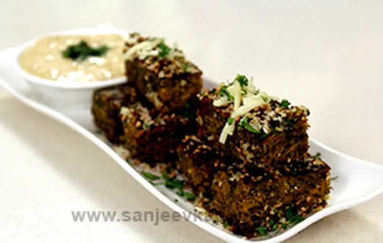 Kothimbir Wadi with Cheese Sauce