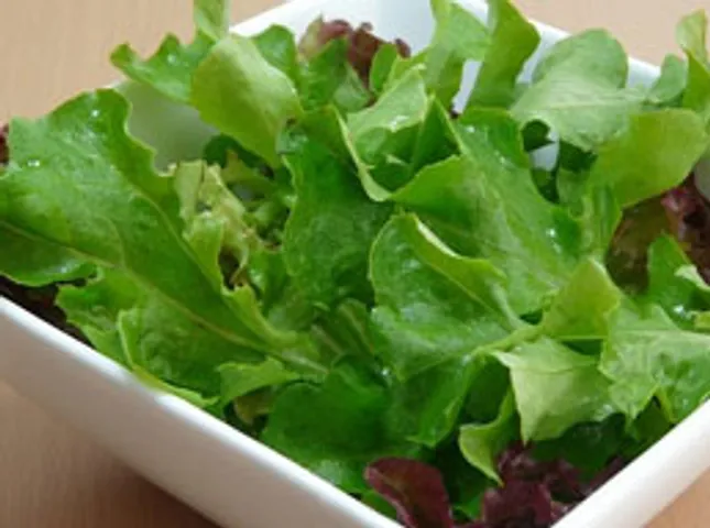 4 greens to stay evergreen