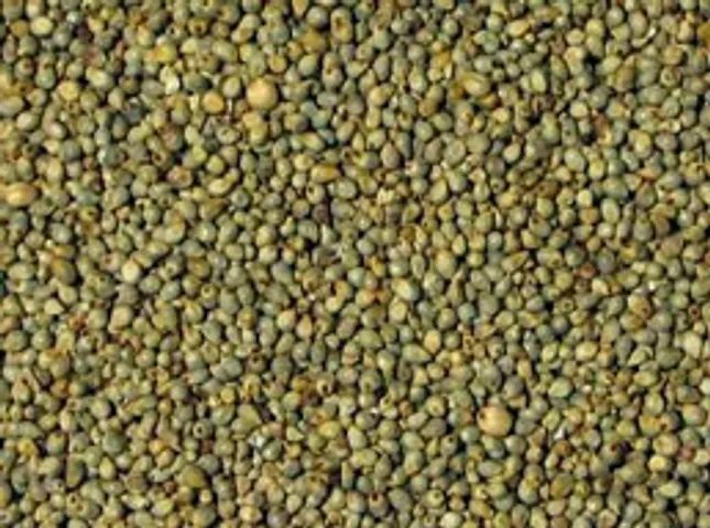 Bajra