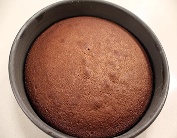Dark Chocolate Sponge