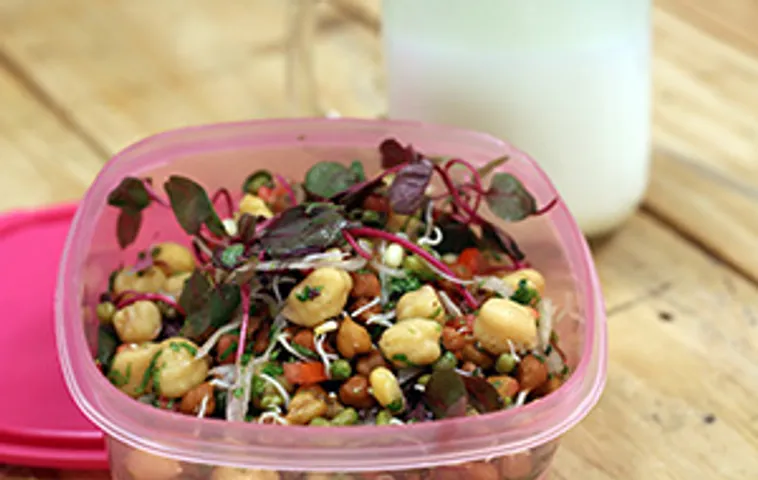 Sprout Salad