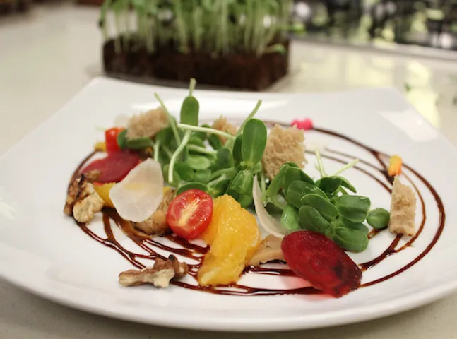 Sunflower Microgreen Salad - SK Khazana