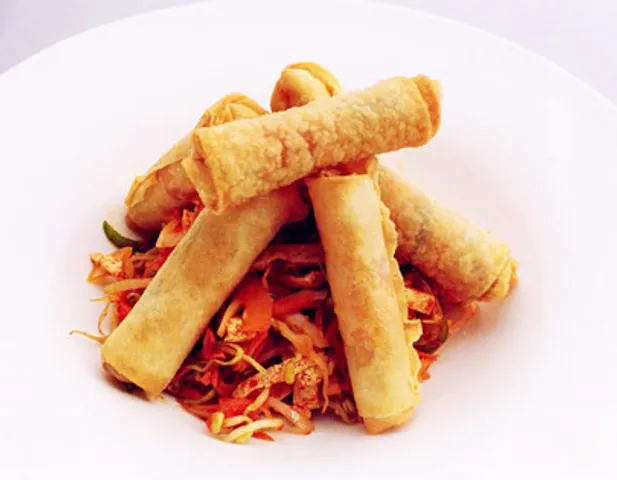 Tofu And Vegetable Spring Rolls