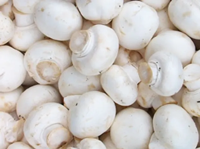 5 reasons to think beyond button mushrooms