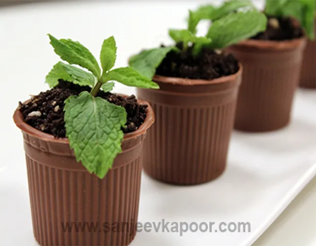 Chocolate Flower Pot