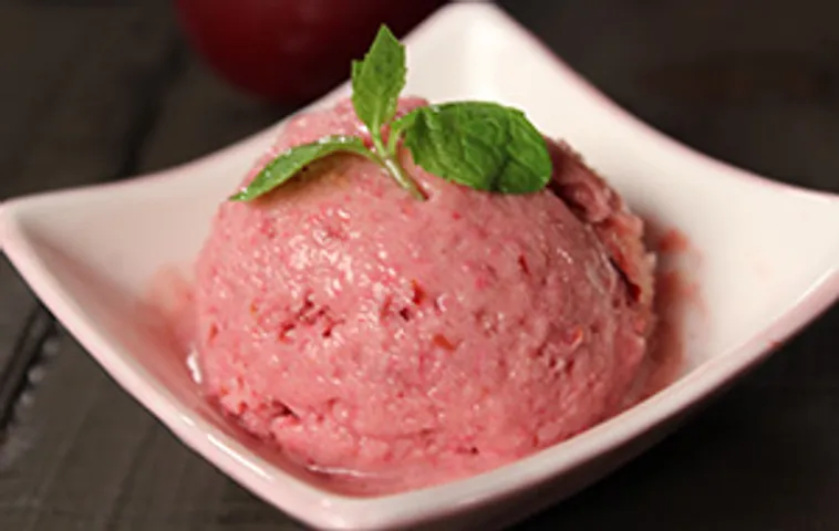 Plum Frozen Yogurt