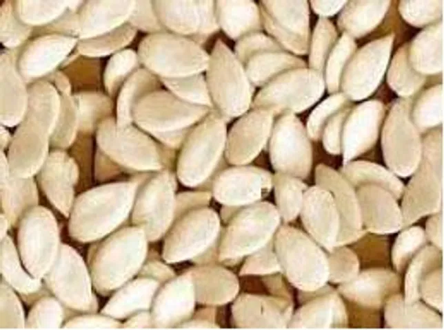 Melon Seeds