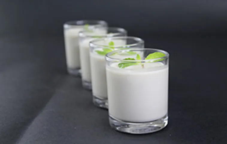 Green Tea Vanilla Pannacotta