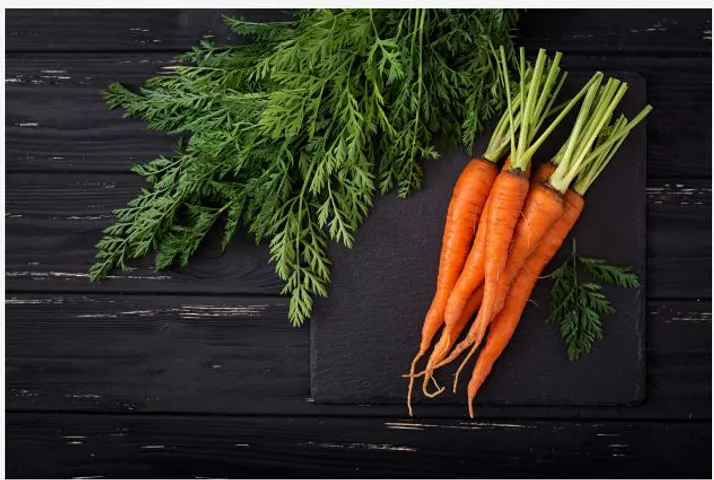 Carrot The nutritional hero is a blessing to all