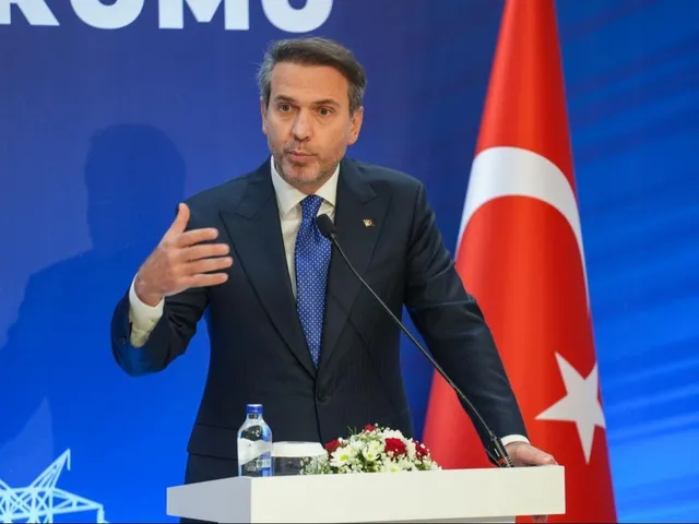 Türkiye Renewable Energy Tenders 2025