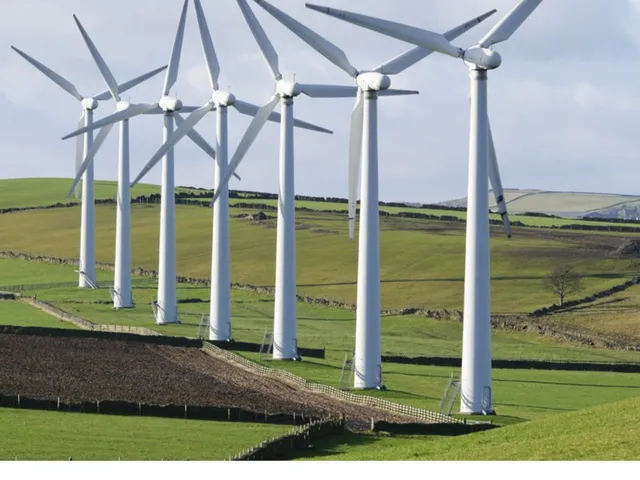 Iberdrola Completes Acquisition of 242 MW Ararat Wind Farm in Australia