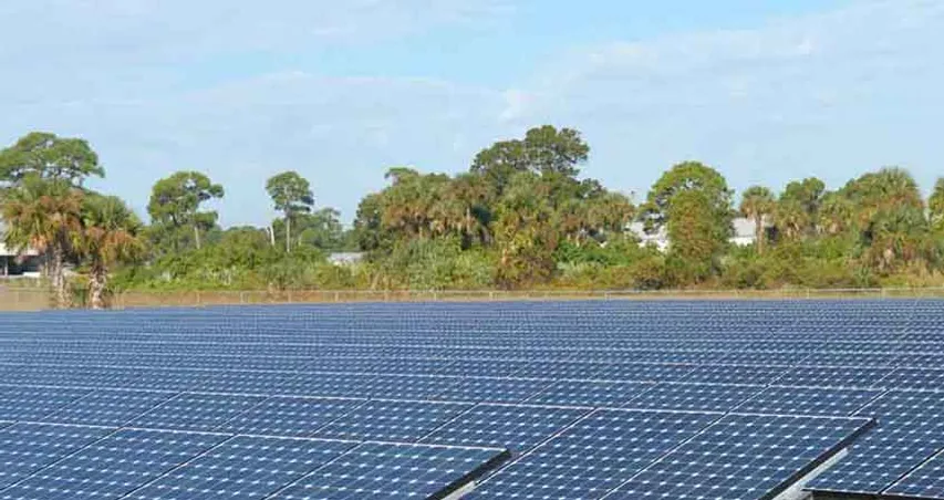 Neemach Solar Park, Sajapur Solar Park and Agar Solar Park