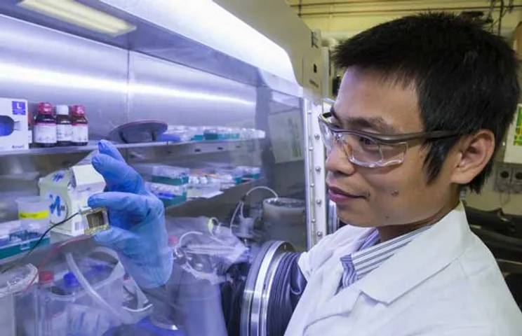 ANU Researchers Hit New Efficiency Record for Low-Cost Solar Cell