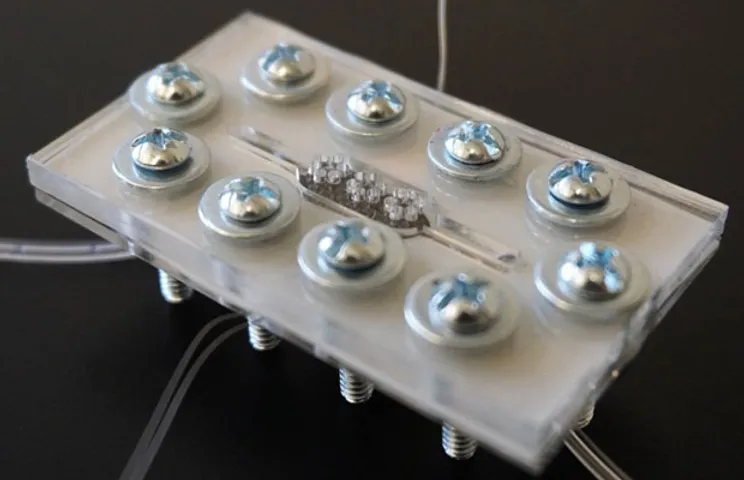 Micro-Scale Bio-Solar Cell