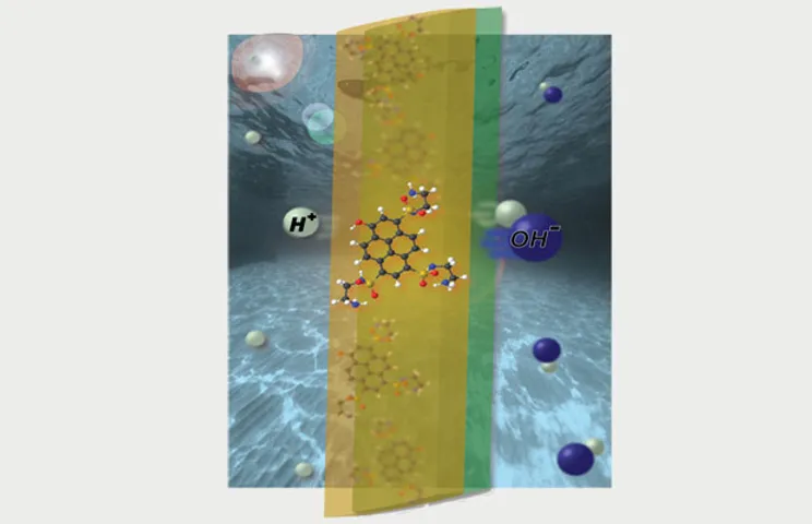 Ionic Solar Cell