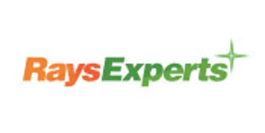 RAYS POWER EXPERTS PRIVATE LIMITED
