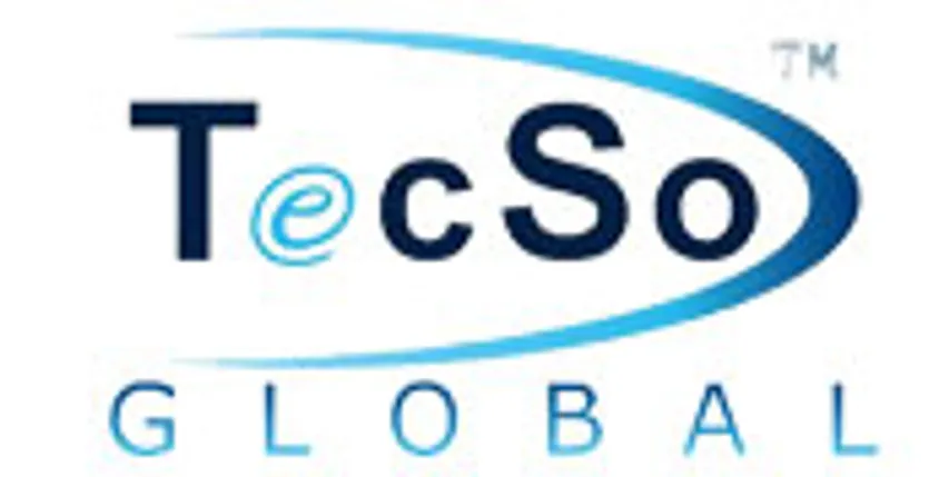 TECSO PROJECTS LIMITED