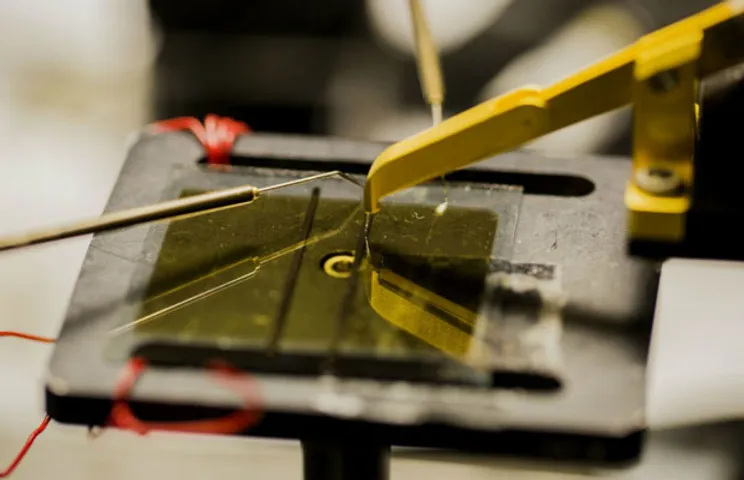 New Research Brings Us Closer to Cheap, Transparent, Organic Solar Cells