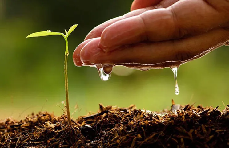 Grow Green