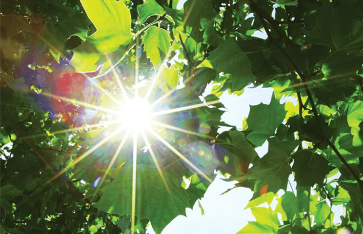 Fuel Sunlight CO2 Water