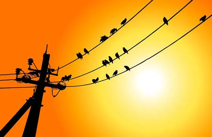 Reliance Infra Sells Mumbai Power Portfolio to Adani Transmissions for Rs 18,000 Cr