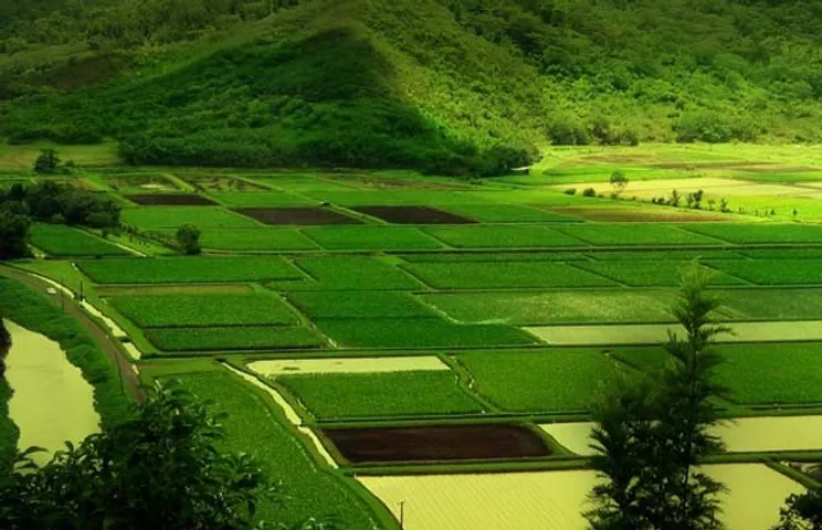 mizoram solar power plant