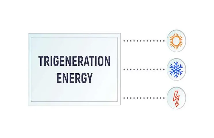 EESL Roundtable for Trigeneration in India