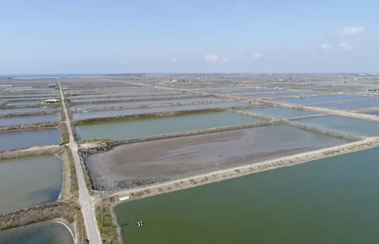 Google Signs First Solar Purchase Deal in Asia