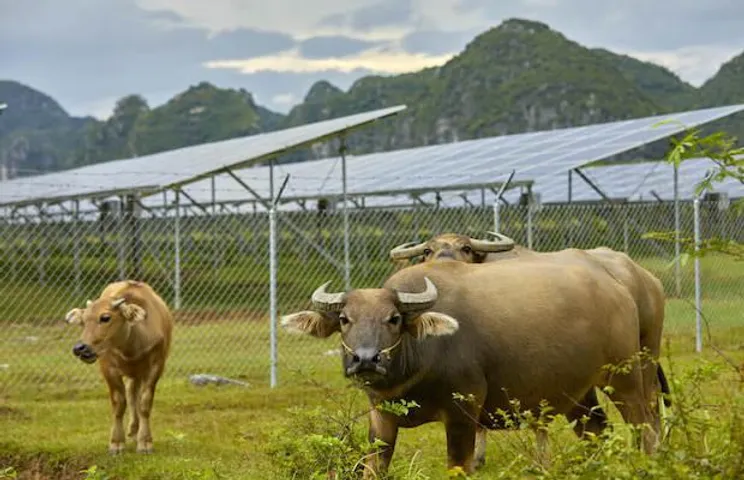 solar power plant in Tamil Nadu