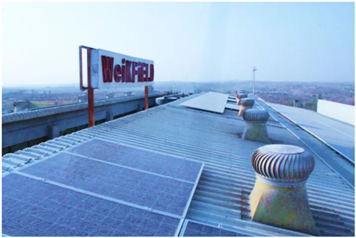 WeikField Foods takes a Step Towards Sustainability on their Foundation Day