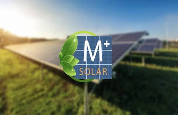 Big Basket Goes Solar With Amplus to Trim CO2 Emissions