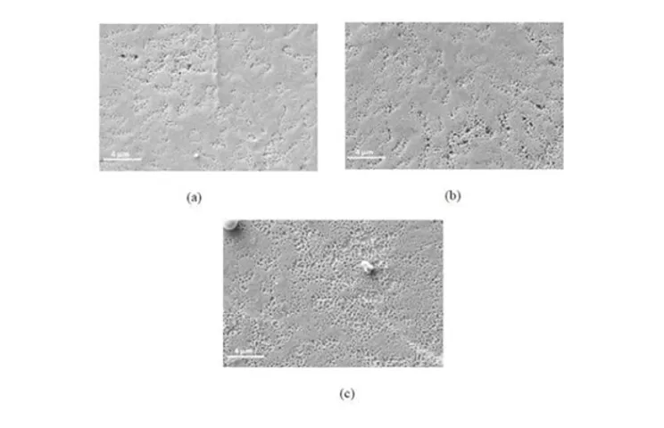 Top down SEM images of Poly Si