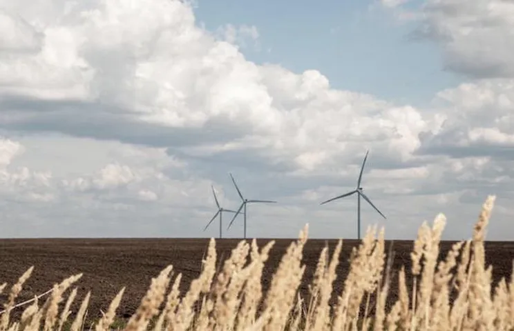 Wind in Texas IEEFA