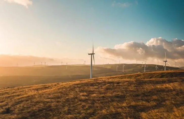 Renewable Energy COVID-19
