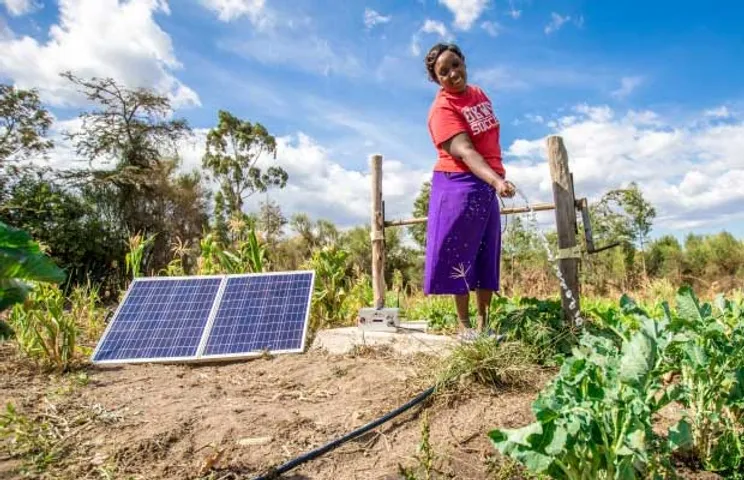 Solar lights in Assam