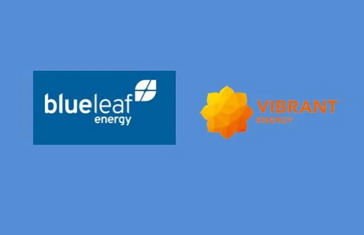 blueleaf acquires vibrant