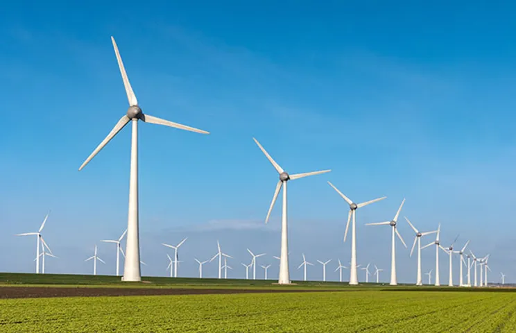 wind farm