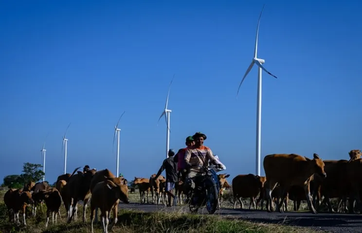 South Asia Sustainable Energy SEforALL