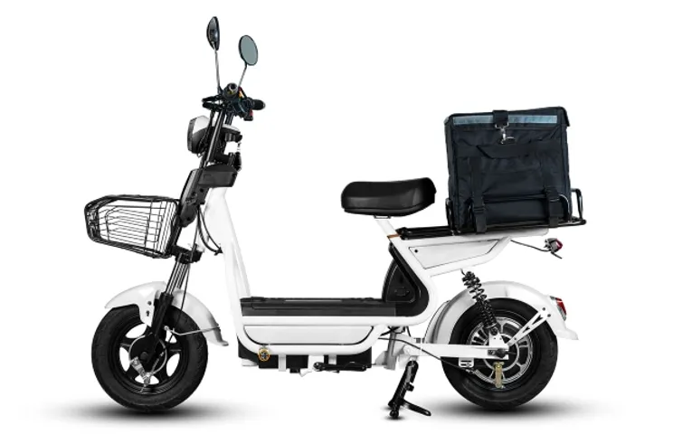 eBikeGo Recycle EV Waste