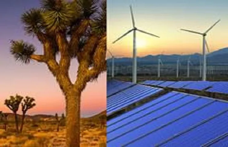 BLM Crimson Solar Project