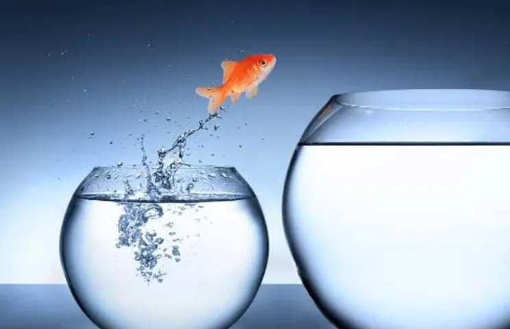 seeking larger markets