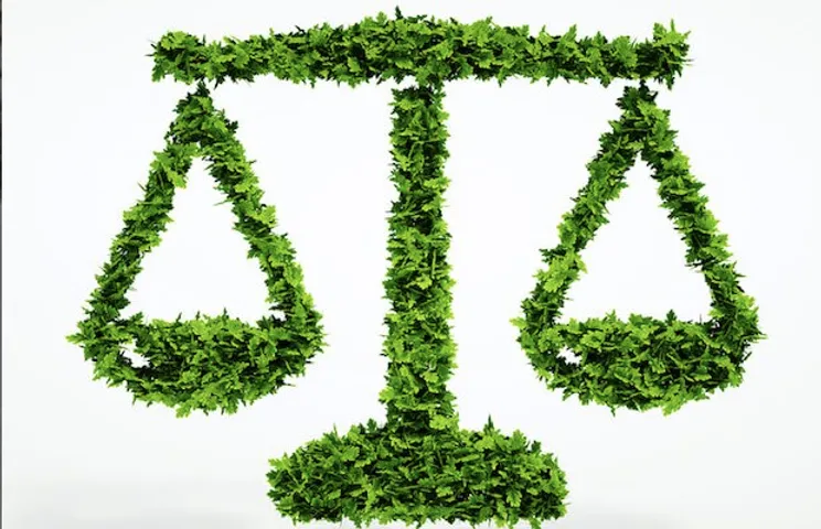 APTEL Asks TANGEDCO to Reimburse Solar Developers for Excess Energy Demand