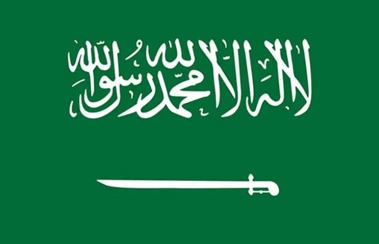 Saudi Arabia's renewable demand perks up Chinese green energy firms