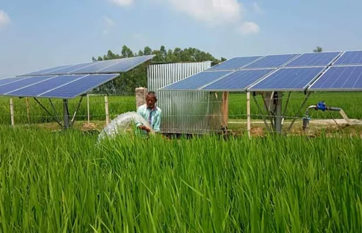solar powered hydroponic plants