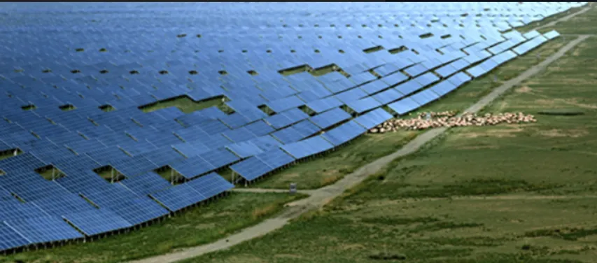 China's Largest PV Plant In Quinghai Offers A study On Co-Existing With Nature