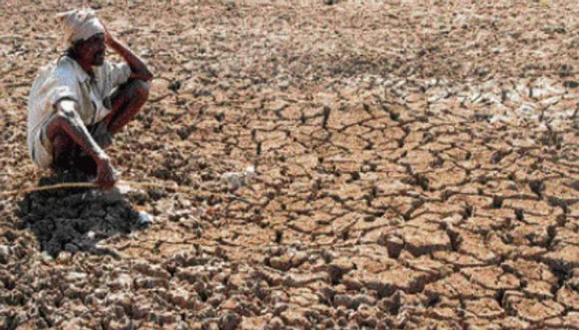 Solar Plant Installs on Barren Land