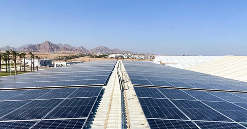 Rooftop plant tender