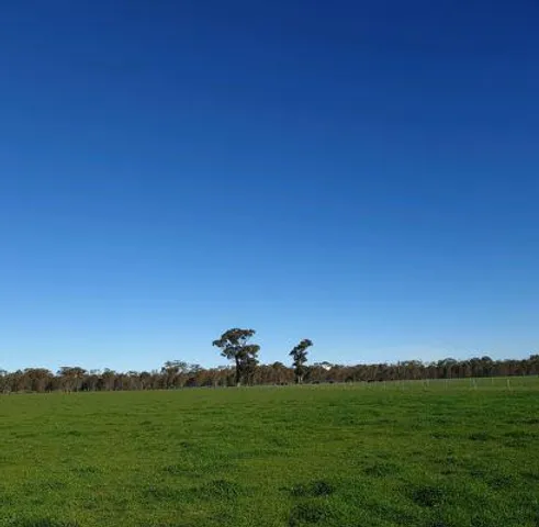 Walla Walla Solar Farm Helps Australia's GRS Seal Year with Almost 2 GW Pipeline at Hometurf